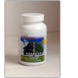 AGARICUS BLAZEI 100 CAPSULE
