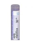 APIS MELLIFICA 30CH GRANULI