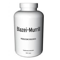 BLAZEI MURRILL 180CPS FREELAND