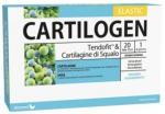 CARTILOGEN ELASTIC 20 FIALE 15ML