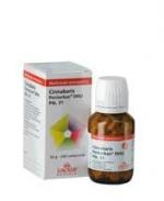 CINNABARIS PTK 31 