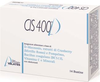 CIS 400 14 BUSTINE