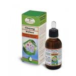 CITOYANG MELISSA GOCCE 50ML