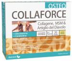 COLLAFORCE OSTEO 20 BUSTINE