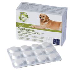 CONDROSALUS ORME NAT 60CPR