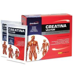 CREATINA VECTOR 20 BUSTE