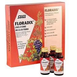 FLORADIX FERRO E VITAMINE 10FL 20ML