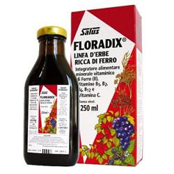 FLORADIX FERRO E VITAMINE 250ML