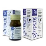 GINPENT 120 CAPSULE 400 MG