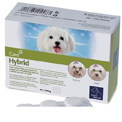 HYBRID ORME NAT 60CPR