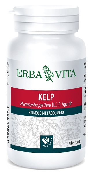 KELP 60 CAPSULE 500MG