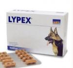 LYPEX 60 CAPSULE