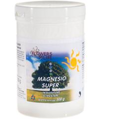MAGNESIO SUPER 300G