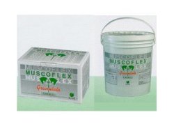 MUSCOFLEX 40BUSTE 25G