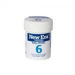 NEW ERA 6 240GR