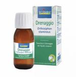 ORTHOSIPHON STAMINEUS - Drenaggio