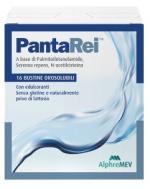 PANTAREI 16 BUSTINE