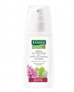 RAUSCH SPRAY VOLUMIZZANTE MALVA 100ML