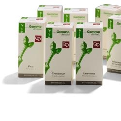 SEGALE 50 ML 