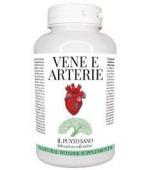 VENE E ARTERIE 
