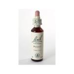 WALNUT FIORI DI BACH 10 ML