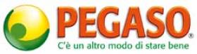 Pegaso