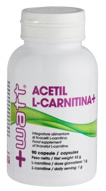 ACETIL L CARNITINA+ 90 CAPSULE