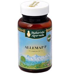 ALLEMAP P 60 COMPRESSE