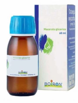 ALNUS INCANA GEMME 60ML MG