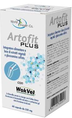 ARTOFIT PLUS 60 CAPSULE