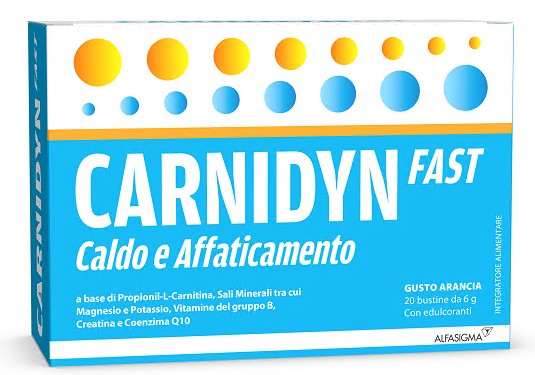 CARNIDYN FAST 20 BUSTINE