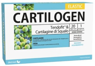 CARTILOGEN ELASTIC 20 FIALE 15ML