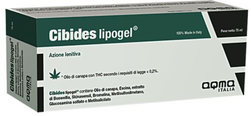 CIBIDES LIPOGEL 75ML