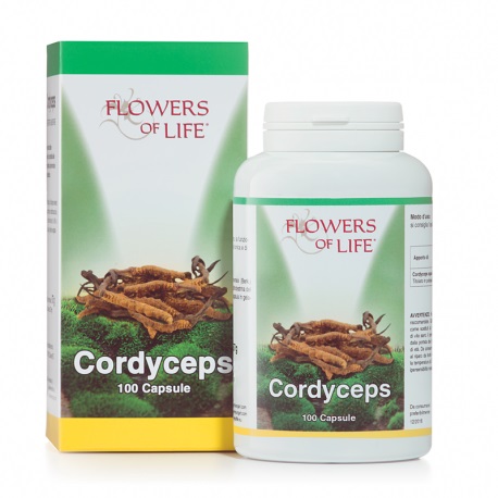 CORDYCEPS 100 CAPSULE FLOWERS OF LI