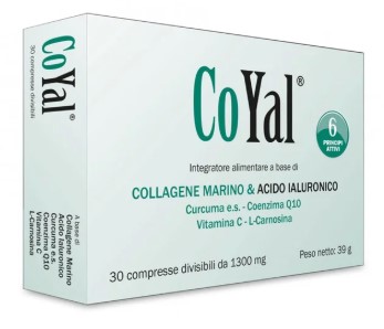 COYAL 30 COMPRESSE GASTROPROTETTE