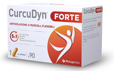 CURCUDYN FORTE 90 CAPSULE