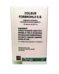 Coleus Forskohlii 30 Capsule