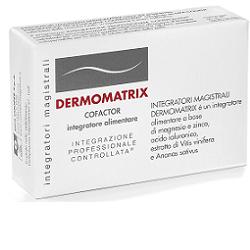 DERMOMATRIX INTEGRATORI MAGISTRALI 20 CAPSULE