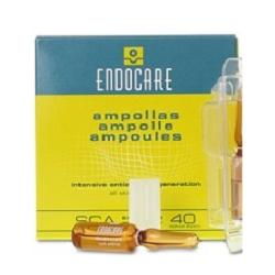 ENDOCARE B 7Fiale 1ML