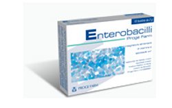 ENTEROBACILLI 10BUSTE