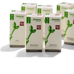 FICO RADICHETTE 200 ML macerato glicerico