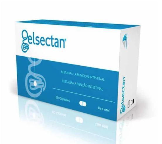 GELSECTAN 60 CAPSULE