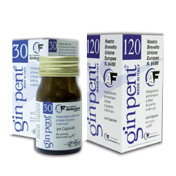 GINPENT 120 CAPSULE 400 MG