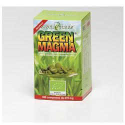GREEN MAGMA 320 TAVOLETTE 120G