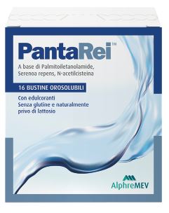 PANTAREI 16 BUSTINE