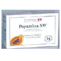 PAYAMINA SW 20BUSTE