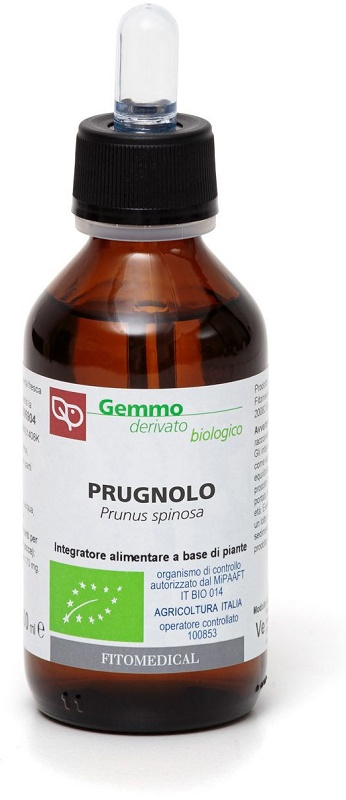 PRUGNOLO BIO 100ML