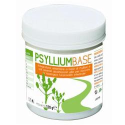 PSYLLIUM BASE POLVERE 120G