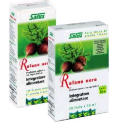 RAFANO NE SUCCO SENZA ALCOOL 200 ML