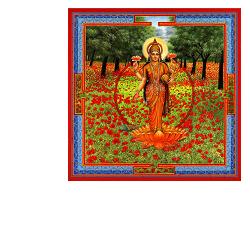 SARASWATI GOCCE 30 ML